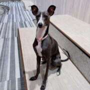 ヒメ日記 2025/07/28 13:36 投稿 美山ももよ 松戸人妻花壇