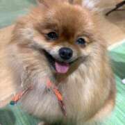 ヒメ日記 2025/08/25 13:51 投稿 美山ももよ 松戸人妻花壇