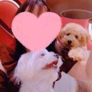 ヒメ日記 2025/09/01 17:26 投稿 美山ももよ 松戸人妻花壇