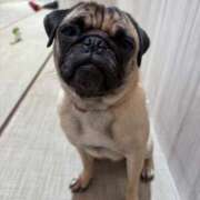 ヒメ日記 2025/09/01 21:38 投稿 美山ももよ 松戸人妻花壇