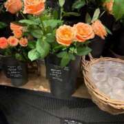 ヒメ日記 2025/09/20 18:38 投稿 美山ももよ 松戸人妻花壇