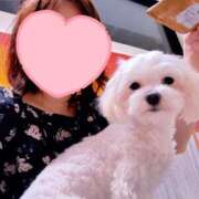 ヒメ日記 2025/09/25 16:51 投稿 美山ももよ 松戸人妻花壇