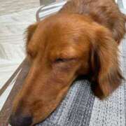 ヒメ日記 2025/09/25 17:15 投稿 美山ももよ 松戸人妻花壇