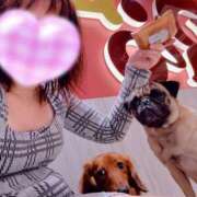 ヒメ日記 2025/10/01 13:55 投稿 美山ももよ 松戸人妻花壇