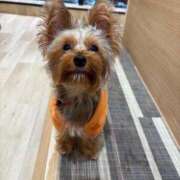 ヒメ日記 2025/10/04 18:14 投稿 美山ももよ 松戸人妻花壇