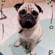 ヒメ日記 2025/10/09 01:48 投稿 美山ももよ 松戸人妻花壇