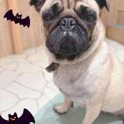 ヒメ日記 2025/10/10 17:09 投稿 美山ももよ 松戸人妻花壇