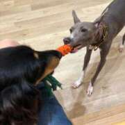 ヒメ日記 2025/10/16 19:53 投稿 美山ももよ 松戸人妻花壇