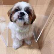 ヒメ日記 2026/01/08 11:56 投稿 美山ももよ 松戸人妻花壇