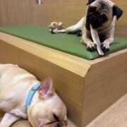 ヒメ日記 2026/01/13 14:50 投稿 美山ももよ 松戸人妻花壇