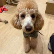 ヒメ日記 2026/01/14 16:26 投稿 美山ももよ 松戸人妻花壇