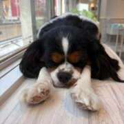 ヒメ日記 2026/01/15 13:38 投稿 美山ももよ 松戸人妻花壇