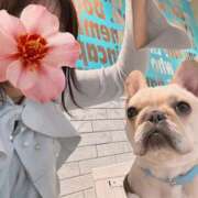 ヒメ日記 2026/01/15 16:40 投稿 美山ももよ 松戸人妻花壇