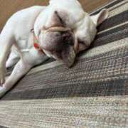 ヒメ日記 2026/01/21 19:27 投稿 美山ももよ 松戸人妻花壇