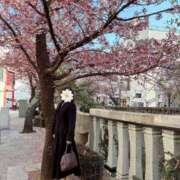 ヒメ日記 2026/02/06 13:23 投稿 美山ももよ 松戸人妻花壇