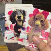 ヒメ日記 2026/02/07 20:27 投稿 美山ももよ 松戸人妻花壇