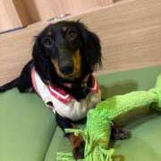 ヒメ日記 2026/02/14 19:22 投稿 美山ももよ 松戸人妻花壇