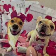 ヒメ日記 2026/02/15 18:50 投稿 美山ももよ 松戸人妻花壇