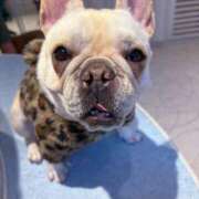 ヒメ日記 2026/02/16 14:15 投稿 美山ももよ 松戸人妻花壇