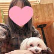 ヒメ日記 2026/02/19 14:59 投稿 美山ももよ 松戸人妻花壇