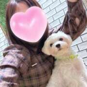 ヒメ日記 2026/02/19 19:04 投稿 美山ももよ 松戸人妻花壇