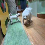 ヒメ日記 2026/02/20 02:28 投稿 美山ももよ 松戸人妻花壇