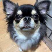 ヒメ日記 2026/02/20 17:00 投稿 美山ももよ 松戸人妻花壇