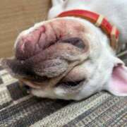 ヒメ日記 2026/02/22 18:34 投稿 美山ももよ 松戸人妻花壇