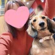 ヒメ日記 2026/02/24 12:34 投稿 美山ももよ 松戸人妻花壇