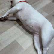 美山ももよ 明日ねヾ(*ˊᗜˋ*) 松戸人妻花壇