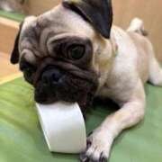 ヒメ日記 2026/03/06 15:43 投稿 美山ももよ 松戸人妻花壇