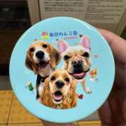 ヒメ日記 2026/03/06 17:42 投稿 美山ももよ 松戸人妻花壇