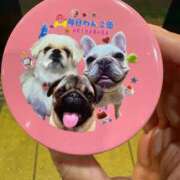 ヒメ日記 2026/03/06 20:43 投稿 美山ももよ 松戸人妻花壇