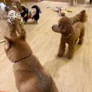 ヒメ日記 2026/03/07 22:13 投稿 美山ももよ 松戸人妻花壇