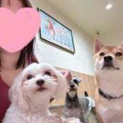 ヒメ日記 2026/03/08 13:28 投稿 美山ももよ 松戸人妻花壇