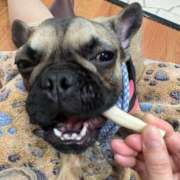 ヒメ日記 2026/03/09 00:30 投稿 美山ももよ 松戸人妻花壇