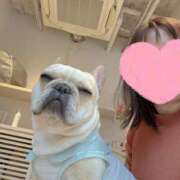 ヒメ日記 2026/03/16 15:40 投稿 美山ももよ 松戸人妻花壇