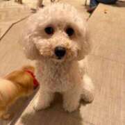 ヒメ日記 2026/03/20 12:54 投稿 美山ももよ 松戸人妻花壇