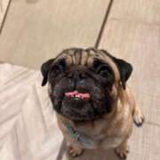 ヒメ日記 2026/03/20 23:48 投稿 美山ももよ 松戸人妻花壇