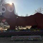 ヒメ日記 2026/03/21 16:42 投稿 美山ももよ 松戸人妻花壇