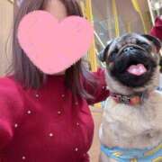 ヒメ日記 2026/03/24 18:34 投稿 美山ももよ 松戸人妻花壇