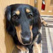 ヒメ日記 2026/03/25 19:56 投稿 美山ももよ 松戸人妻花壇