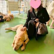 ヒメ日記 2026/03/26 16:07 投稿 美山ももよ 松戸人妻花壇