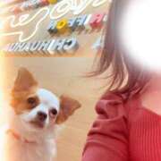 ヒメ日記 2026/03/28 10:42 投稿 美山ももよ 松戸人妻花壇