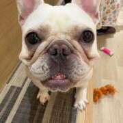 ヒメ日記 2026/04/27 02:00 投稿 美山ももよ 松戸人妻花壇