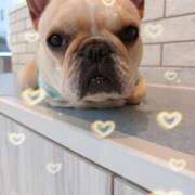 ヒメ日記 2026/04/28 16:39 投稿 美山ももよ 松戸人妻花壇