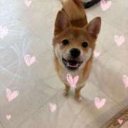 ヒメ日記 2026/04/29 13:55 投稿 美山ももよ 松戸人妻花壇