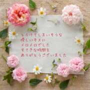 ヒメ日記 2025/01/25 19:30 投稿 なぎ 奥鉄オクテツ東京店（デリヘル市場）