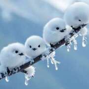 ヒメ日記 2025/05/31 10:20 投稿 なぎ 奥鉄オクテツ東京店（デリヘル市場）