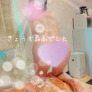 ヒメ日記 2026/01/17 19:10 投稿 なぎ 奥鉄オクテツ東京店（デリヘル市場）